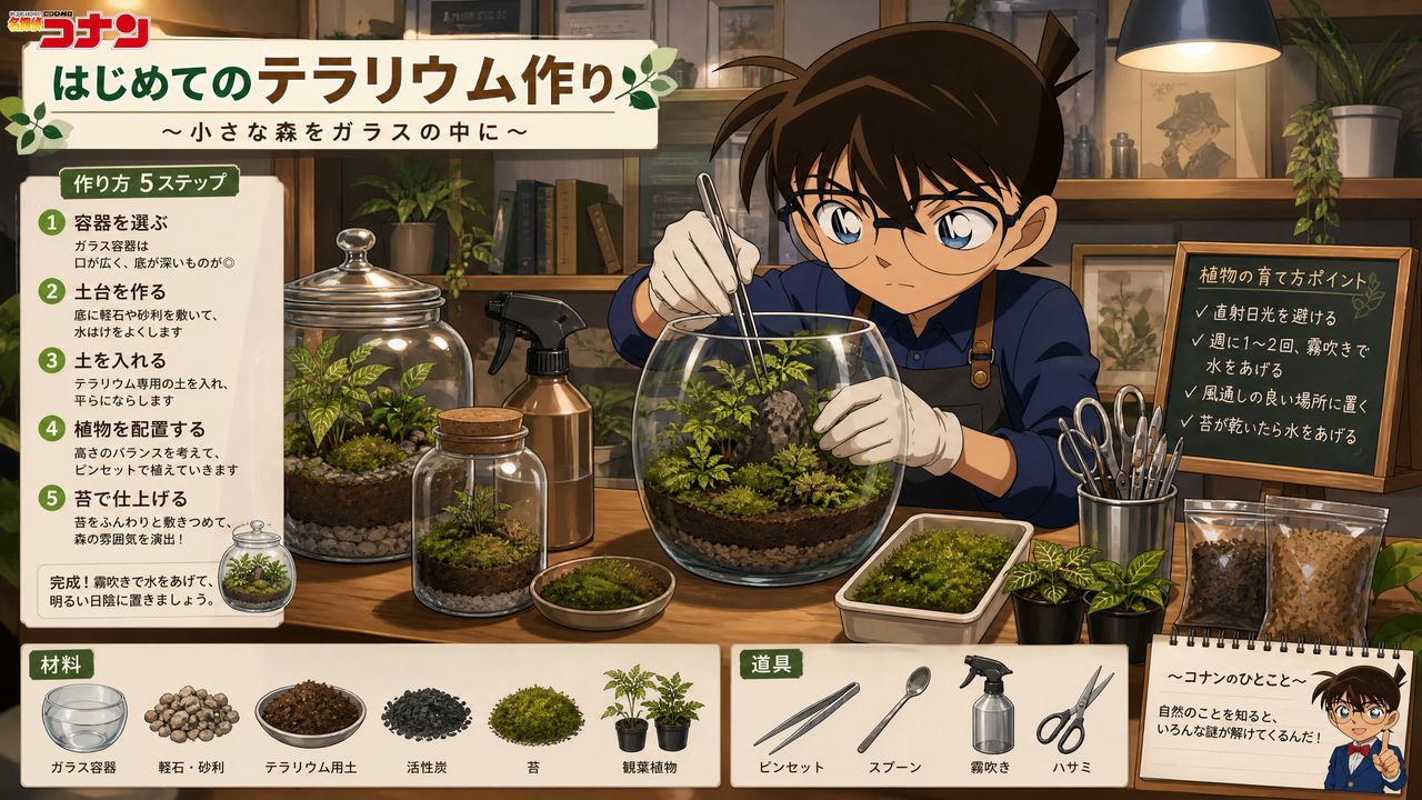 每日大赛